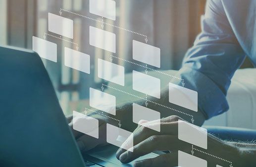 関連会社・組織図