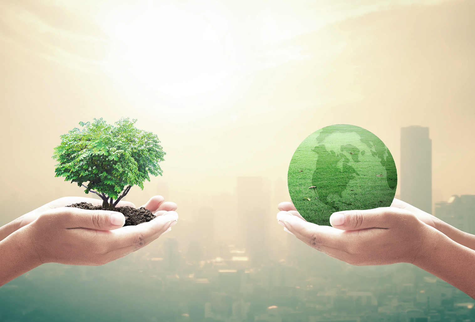 グループ全体のサステナビリティの取り組み